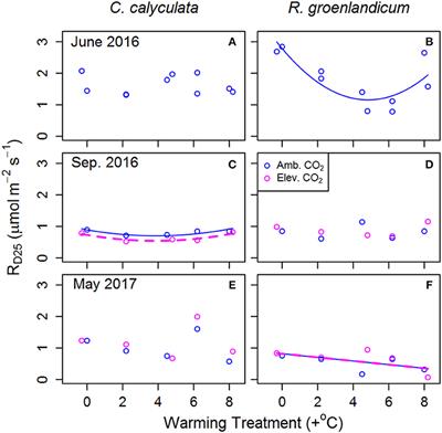 Photosynthetic and Respiratory Responses of Two Bog Shrub Species to Whole Ecosystem Warming and Elevated CO2 at the Boreal-Temperate Ecotone